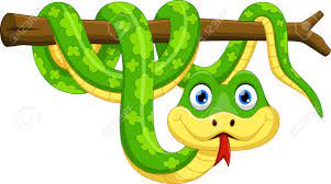 All images are representation of the artists imagination. Cute Cartoon Snake On Branch Royalty Free Cliparts Vectors And Stock Illustration Image 99969123