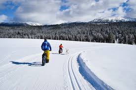 6 Best Outdoor Winter Activities for Kids - Adventure Together
