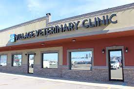 When you are looking for a veterinary care clinic you should be able to count on superior care and excellent service. Its Abeautiful Lie 33 Hq Images Pet Clinic Near Me 24 Hours Emergency Pet Clinic Open 24 Hours Near Me Petswall