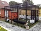 Outdoor Cat Enclosures Connected To House