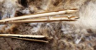 Here's what you can expect when you go spearfishing in mexico for the first time. How To Make A Fishing Spear Head Fast Survival Jar