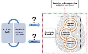 You can choose your academic level: Frontiers An Ontological Approach Of The Cognitive And Affective Product Experience Neuroergonomics