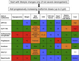 flow chart for the therapy of type 2 diabetes proposed by