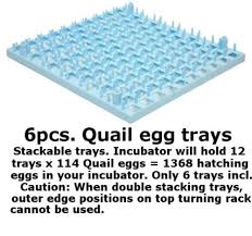 Rcom max 20 mx20 fully automatic digital. Incubator Gqf 1502 Cabinet Incubator Hatcher Includes 6pk Pheasant Hatching Egg Trays Buy Online In Antigua And Barbuda At Antigua Desertcart Com Productid 32614054