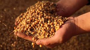 Us Soybeans Futures Price Investing Com India