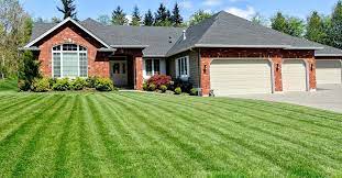 This can be done over dead or patchy grass to promote new growth and improve the appearance of a lawn. How To Overseed Or Reseed Your Lawn