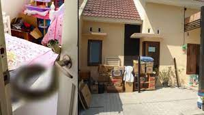 We did not find results for: Tabur Garam Itu Cuma Mitos 6 Cara Ini Baru Mempan Cegah Ular Masuk Rumah Dan Halaman