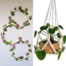 You can use with real plants.hope you enjoy! Amazon Com Wooden Hexagon Plant Hangers Wall Trellis For Climbing Trailing Vines Flowers Indoor Plant Decor Crafts Projects Self Assemble Trellis Hanger Vertical Garden Modern Display Diy 12 Pcs Set Patio