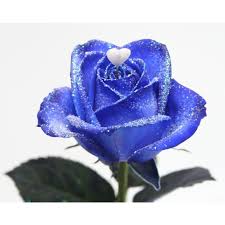 We did not find results for: Bouquet Long Stemmed Blue Roses With Sparkles And Heart Fleursupreme Com