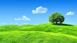 Natural Screen Wallpapers Top Free Natural Screen Backgrounds Wallpaperaccess Best representation descriptions for this image: natural screen wallpapers top free