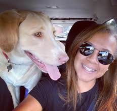 What is a good deshedding shampoo for dogs with sensitive skin?