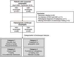 Esophagitis caused by cmv infection, most commonly occurring in patients with cytomegalovirus esophagitis developing during chemoradiotherapy for esophageal cancer. Can Endoscopists Differentiate Cytomegalovirus Esophagitis From Herpes Simplex Virus Esophagitis Based On Gross Endoscopic Findings Abstract Europe Pmc