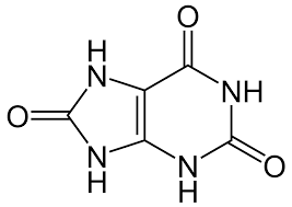 hyperuricemia wikipedia