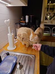 Image result for site:byggahus.se visp