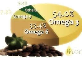 Il corretto bilanciamento tra omega 6 e omega 3 , che deve assestarsi in un rapporto di 5:1 è fondamentale per il buon funzionamento dell'apparato cardiovascolare, in particolare. Omega 6 Proprieta E Benefici Degli Acidi Grassi Omega 6