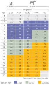 Metacam Dosage Chart For Dogs Goldenacresdogs Com