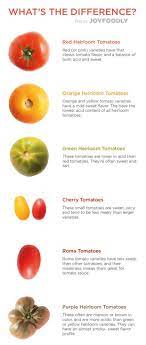 Maybe you would like to learn more about one of these? How To Grow Tomatoes For Survival Survivopedia