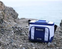 Image result for igloo