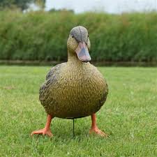 نتیجه جستجوی لغت [canard] در گوگل