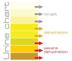 Urine Chart Fitness Nutrition Small Changes Chart