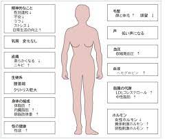 FTMの男性ホルモンの効果と発現時期