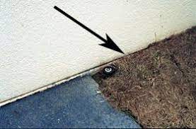 Harvester termites also known as garden termites. Termites Preventing Problems In Existing Homes Nc State Extension Publications