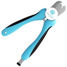 For dogs with light nails, identify the quick, which is the nerve and blood vessels in the dog's nail. Pin On Cat Grooming