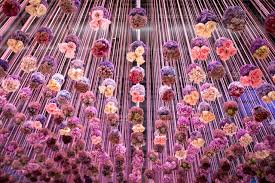 What To Expect At The 2017 Philadelphia Flower Show Phillyvoice