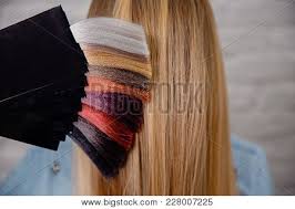 Pick permanent or temporary hair colours. Palette Set Of Hair Colors On Background Of Head And Blonde Hair Concept Staining And Hair Restorat Stock Images Page Everypixel