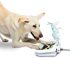 amazon com dog outdoor dog drinking water fountain step on easy paw activated drinking pet dispenser fresh wa dog water fountain outdoor dog water sprinkler