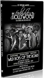Wild boys of the road : Ann Hovey, Arthur Hohl, Claire McDowell, Dorothy  Coonan Wellman, Edwin Phillips, Frankie Darro, Grant Mitchell, Minna  Gombell, Robert Barrat, Rochelle Hudson, Sterling Holloway, Willard  Robertson, Daniel