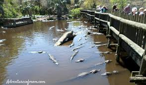 Hours may change under current circumstances Top Things To Do In St Augustine For Families Adventures Of Mom