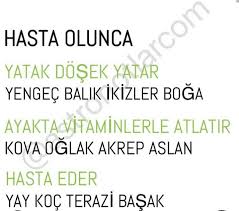 Fatmanur Adli Kullanicinin Burclar Panosundaki Pin Burclar Ikizler Balik Burcu