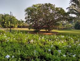 Joseph Baptista Garden in Mazgaon,Mumbai