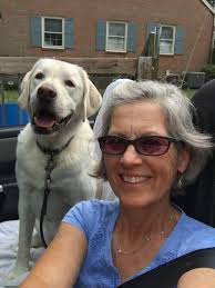 Teacher's Pets: amidst pandemic challenges, pets bring comfort to teachers  during the workday