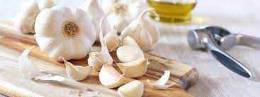 Aglio di Voghiera DOP: caratteristiche e disciplinare di produzione
