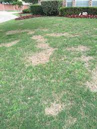 Jun 08, 2021 · the pesticide and fertilizer industry maintains that the environmental protection agency's approval of existing lawn pesticides means the chemicals should be safe to use as directed on the label. Oops I Sprayed My Lawn With Roundup Now What Soil Alive