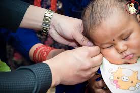 YoYo Chicken Station & Syanko Katti Roll Bhaktapur Pvt.ltd