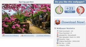 Aesthetic Wallpapers For Desktop 7 Best Sites To Find Them