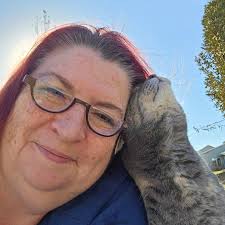 Looking for a cat sitter in Glastonbury.........