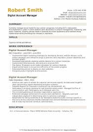 Computer system knowledge (microsoft etc.) Digital Account Manager Resume Samples Qwikresume