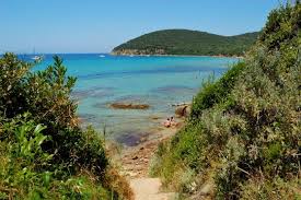 Trova case vacanze, chalet, case al mare, alloggi ed esperienze incredibili in tutto il mondo. Offerta Agosto A Grosseto Casale Esclusivo Per 6 8 9 Persone Con Piscina Vicino Al Mare