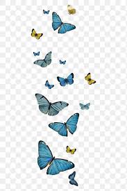Vintage Common Blue Butterflies Illustrations Set Free Image By Rawpixel Com Chayanit Butterfly Illustration Common Blue Butterfly Butterfly Background