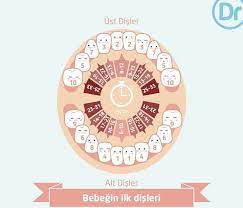 sut disleri dentram dis klinikleri