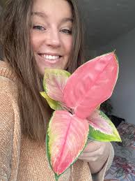 Is my evergreen tree healthy and how to address browning?