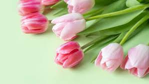 Best flowers for mother's day near me. How To Choose The Best Flowers For Your Mom Gift Flowers Hong Kong