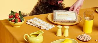 How many calories does nom nom dog food contain? Ollie Vs Pet Plate Vs Nom Nom Comparing Fresh Dog Food Subscriptions Fin Vs Fin