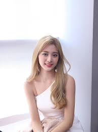 According to the show, her parents have invested around $1.77 million into three hospitals located in taiwan. Tzuyu Gifs Scrolller