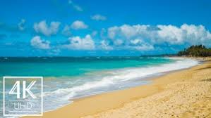 We have a very colorful, unusual summer saver for your desktop. 8k 4k Tv Screensavers Proartinc