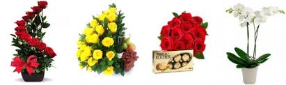 We are a family owned and operated company that is committed to offering only the finest floral. The 12 Best Options For Flower Delivery In Colombia 2021